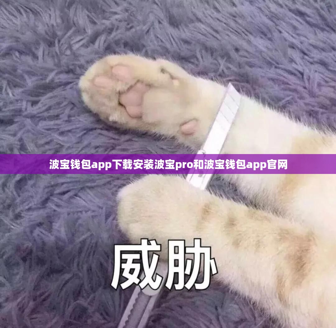 波宝钱包app下载安装波宝pro和波宝钱包app官网